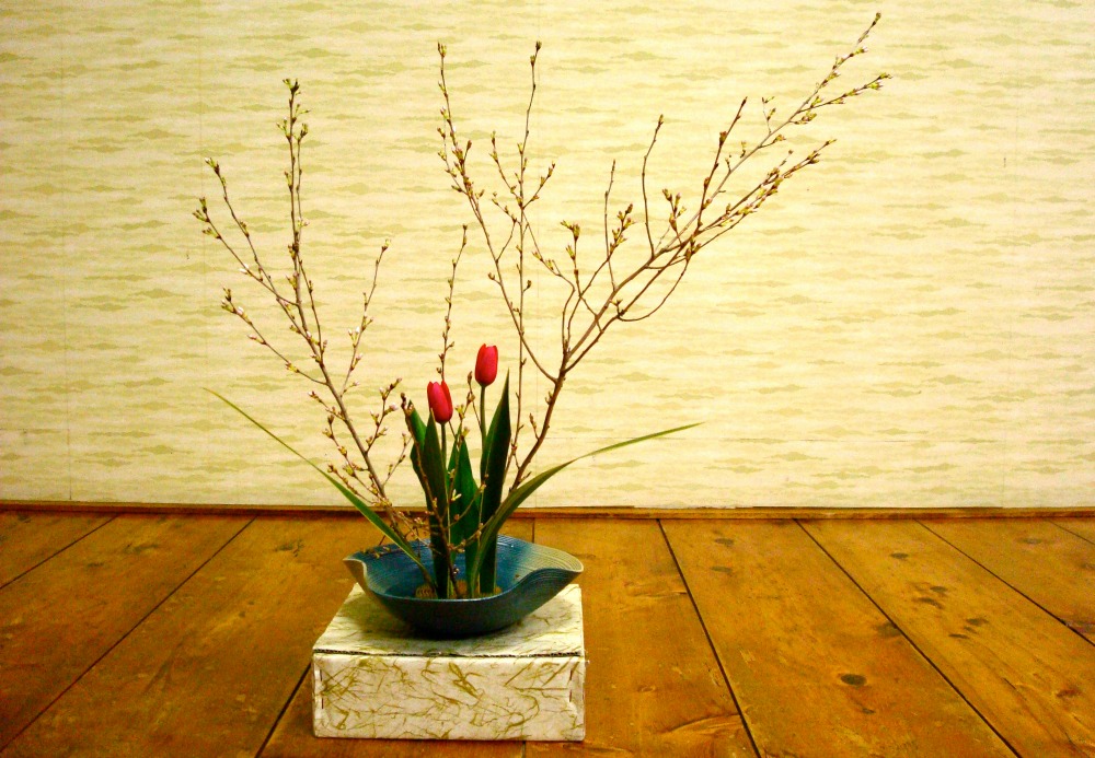 Portfolio Image