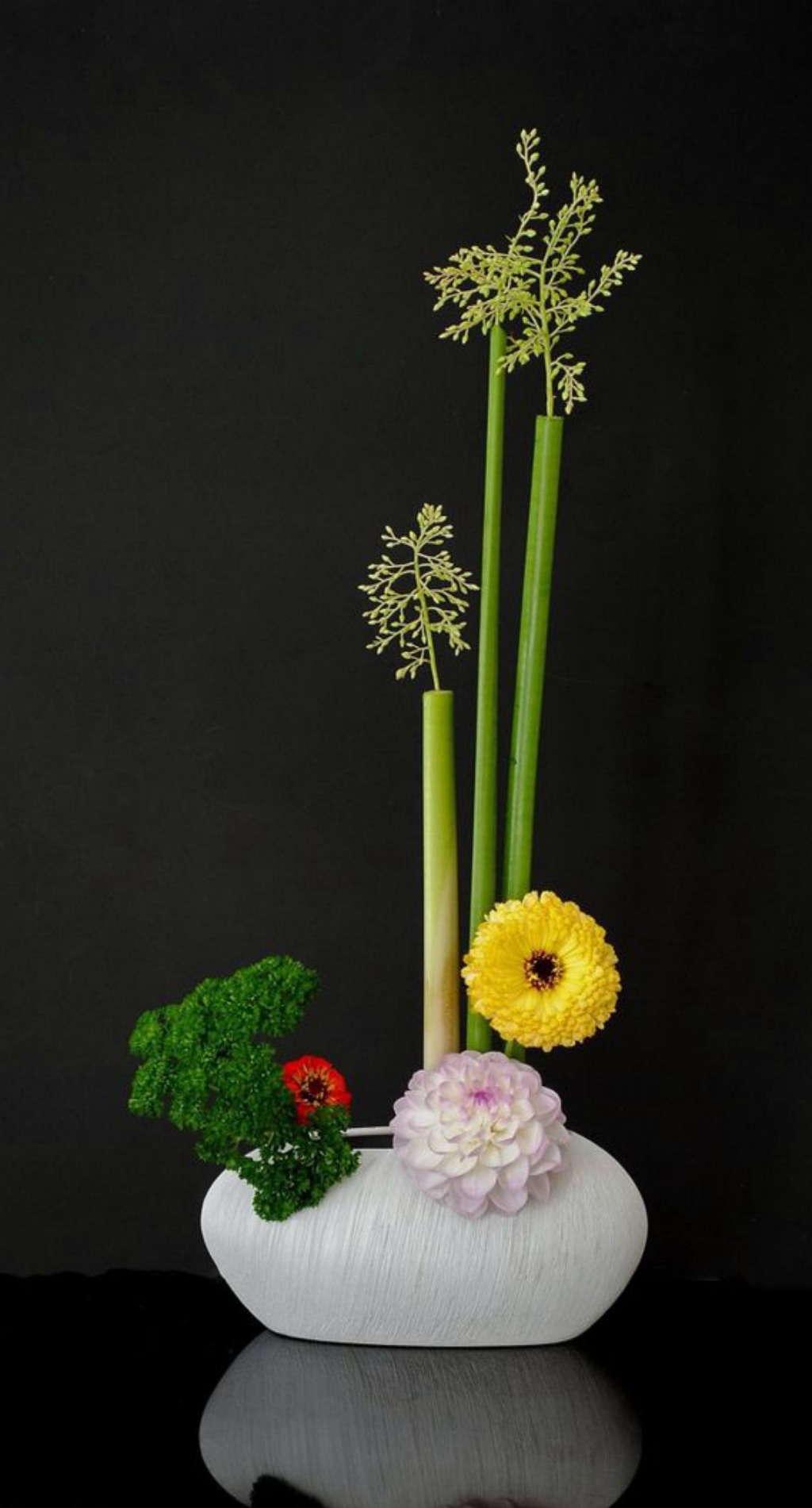 Portfolio Image